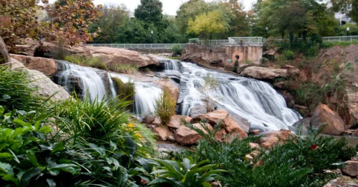 Reedy River Landscapes
