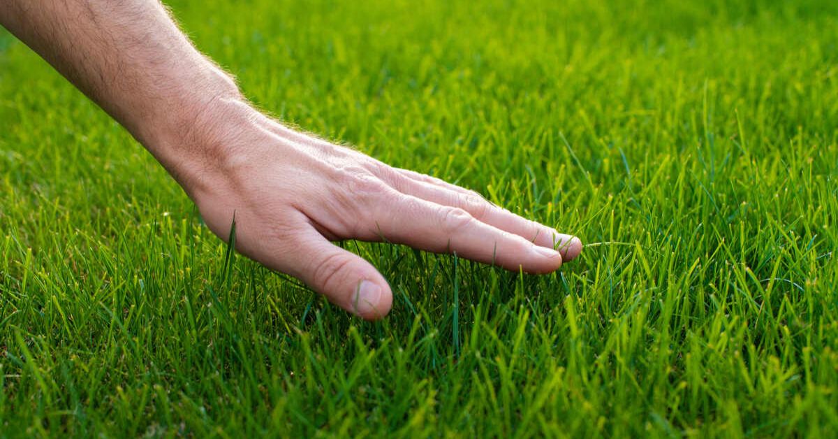 Greener Grass Landscaping